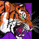 Carvanals & Burning Man, a community laboratory